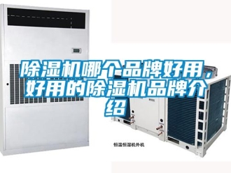 企業(yè)新聞除濕機(jī)哪個品牌好用，好用的除濕機(jī)品牌介紹