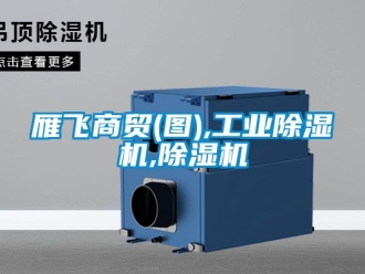 常見問題雁飛商貿(圖),工業(yè)除濕機,除濕機