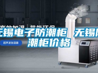 常見問題無錫電子防潮柜 無錫防潮柜價格