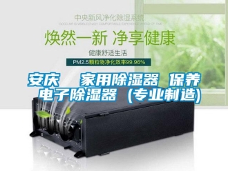 企業新聞安慶  家用除濕器 保養 電子除濕器 (專業制造)