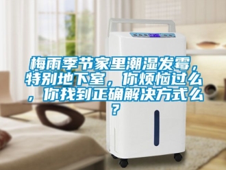 企業新聞梅雨季節家里潮濕發霉，特別地下室，你煩惱過么，你找到正確解決方式么？