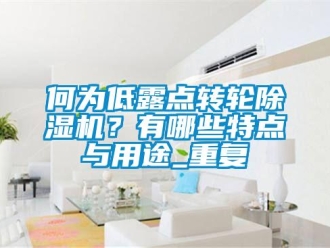 常見問題何為低露點轉(zhuǎn)輪除濕機？有哪些特點與用途_重復(fù)