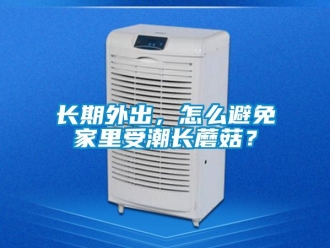 常見問題長期外出，怎么避免家里受潮長蘑菇？