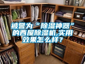 企業新聞被譽為“除濕神器”的西屋除濕機,實用效果怎么樣？