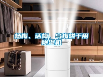 知識(shí)百科楊梅、話梅、烏梅烘干用除濕機(jī)