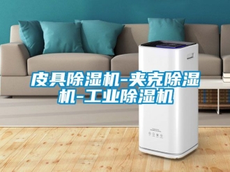 常見問題皮具除濕機-夾克除濕機-工業除濕機