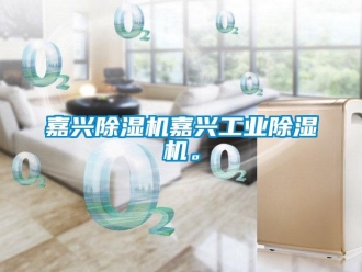常見問題嘉興除濕機(jī)嘉興工業(yè)除濕機(jī)。