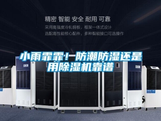 知識百科小雨霏霏！防潮防濕還是用除濕機靠譜