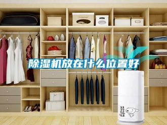 行業(yè)新聞除濕機放在什么位置好