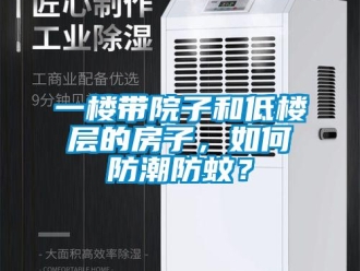 常見問題一樓帶院子和低樓層的房子，如何防潮防蚊？