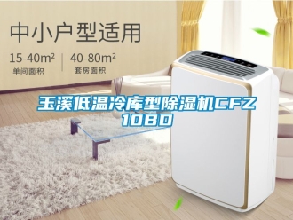 行業新聞玉溪低溫冷庫型除濕機CFZ10BD