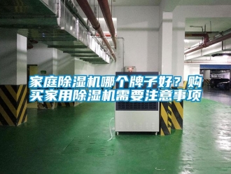 行業新聞家庭除濕機哪個牌子好？購買家用除濕機需要注意事項