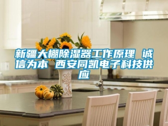行業(yè)新聞新疆大棚除濕器工作原理 誠(chéng)信為本 西安同凱電子科技供應(yīng)