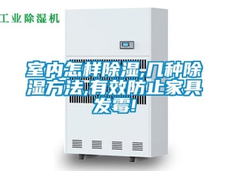 企業(yè)新聞室內怎樣除濕,幾種除濕方法,有效防止家具發(fā)霉!