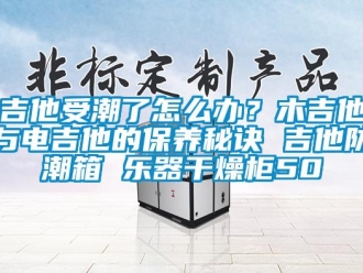 常見(jiàn)問(wèn)題吉他受潮了怎么辦？木吉他與電吉他的保養(yǎng)秘訣 吉他防潮箱 樂(lè)器干燥柜50