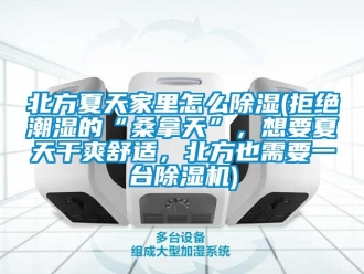 企業新聞北方夏天家里怎么除濕(拒絕潮濕的“桑拿天”，想要夏天干爽舒適，北方也需要一臺除濕機)