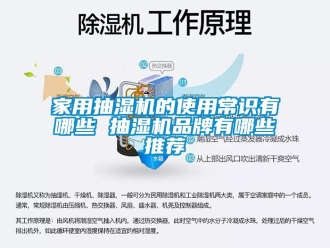 企業(yè)新聞家用抽濕機的使用常識有哪些 抽濕機品牌有哪些推薦