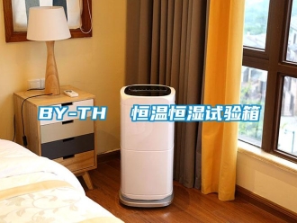 常見問題BY-TH  恒溫恒濕試驗箱
