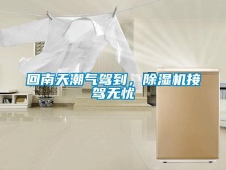 行業新聞回南天潮氣駕到，除濕機接駕無憂