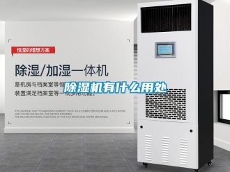 行業(yè)新聞除濕機有什么用處