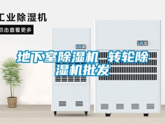 常見問題地下室除濕機 轉(zhuǎn)輪除濕機批發(fā)