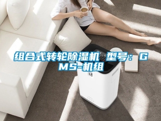 常見問題組合式轉輪除濕機 型號：GMS-機組