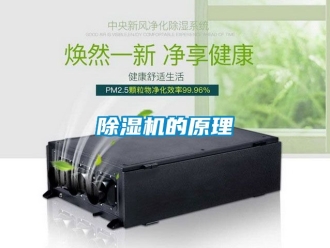 企業新聞除濕機的原理