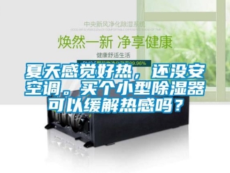 行業新聞夏天感覺好熱，還沒安空調。買個小型除濕器可以緩解熱感嗎？
