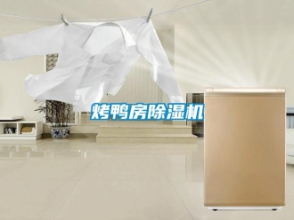 行業(yè)新聞烤鴨房除濕機