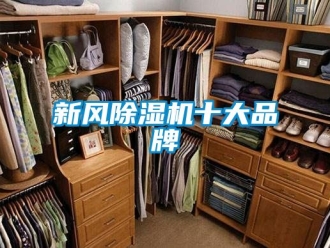 常見問題新風(fēng)除濕機(jī)十大品牌