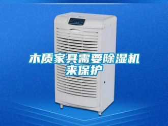 行業(yè)新聞木質(zhì)家具需要除濕機來保護