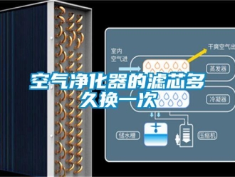 行業新聞空氣凈化器的濾芯多久換一次