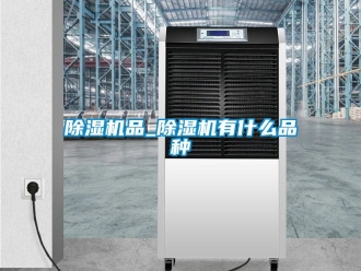 行業(yè)新聞除濕機(jī)品_除濕機(jī)有什么品種