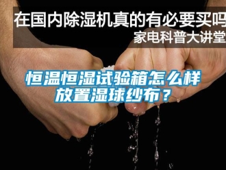知識百科恒溫恒濕試驗箱怎么樣放置濕球紗布？