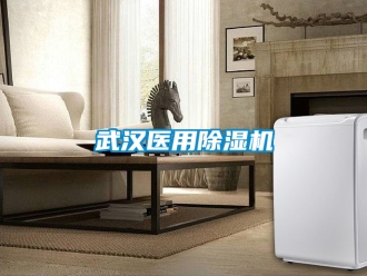 行業新聞武漢醫用除濕機