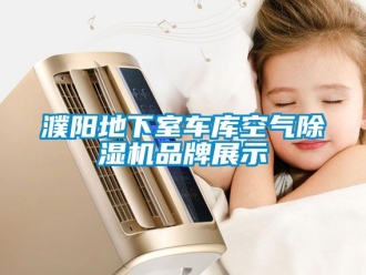 企業(yè)新聞濮陽地下室車庫空氣除濕機(jī)品牌展示