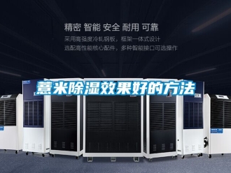 企業(yè)新聞薏米除濕效果好的方法