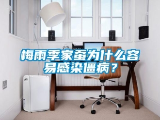 行業新聞梅雨季家蠶為什么容易感染僵病？