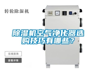 行業(yè)新聞除濕機(jī)空氣凈化器選購技巧有哪些？