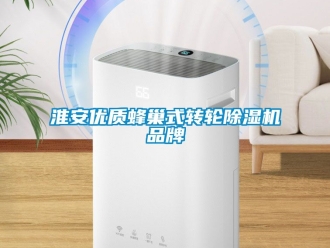 常見問題淮安優(yōu)質蜂巢式轉輪除濕機品牌