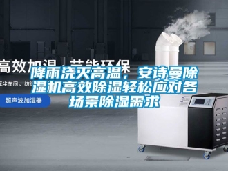 行業新聞降雨澆滅高溫，安詩曼除濕機高效除濕輕松應對各場景除濕需求