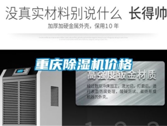 企業(yè)新聞重慶除濕機價格