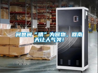 知識百科問世間“晴”為何物，回南天讓人氣哭！