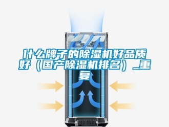 行業(yè)新聞什么牌子的除濕機好品質(zhì)好（國產(chǎn)除濕機排名）_重復(fù)