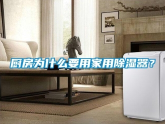 行業新聞廚房為什么要用家用除濕器？