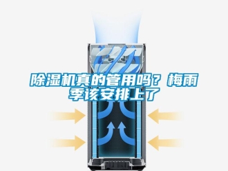 常見問題除濕機真的管用嗎？梅雨季該安排上了