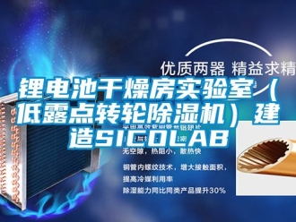 常見問題鋰電池干燥房實驗室（低露點轉輪除濕機）建造SICOLAB