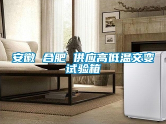 常見問題安徽 合肥 供應高低溫交變試驗箱