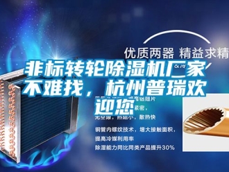 企業新聞非標轉輪除濕機廠家不難找，杭州普瑞歡迎您