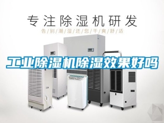 常見問題工業除濕機除濕效果好嗎